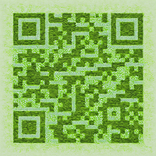 QR‑код, выполненный из мха и цветочных лепестков
