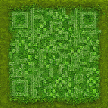 QR‑код в эко‑стиле с элементами листвы